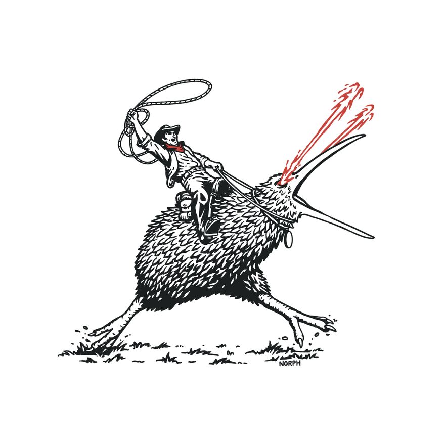 Laser Kiwi Rodeo Thumbnail